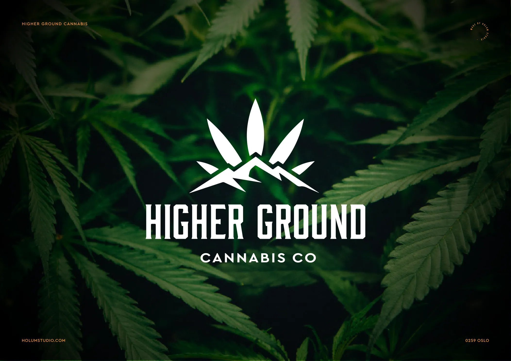 Cannabis brand identity system from a Northera sprint